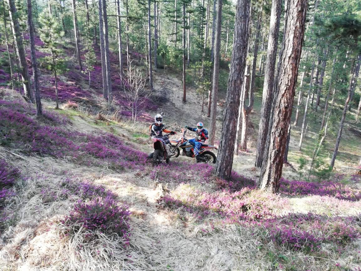 Your guides — brothers on the trail